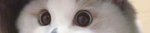 Screenshot_20190129-051144.jpg