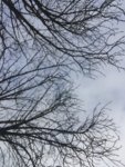 IMG_0627.JPG