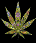7948B140-BB0F-4C98-B05D-F149066A5AAF.gif