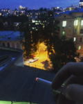 1551964227809.png