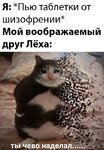 ADEBD0A2-4CD6-4E84-AD46-9E0DF5D66E4A.jpeg