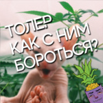 5627dd610afac5e2f6068.png