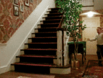 214c55ac305a477838208.gif