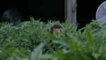 133c509d367760eaad2f2.gif