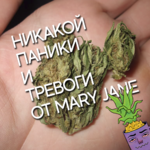 69ba369ac3a570baa45dd(1).png