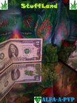 IMG_20200818_114903.jpg