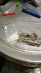 IMG_20201006_124805_951.jpg