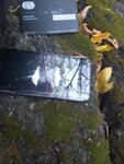 IMG_20201007_063456_088.jpg