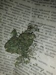 IMG_20201123_025130_385.jpg