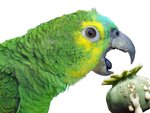 IMG_20201202_173113_915.jpg