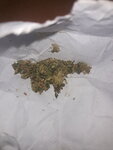20201115_155209.jpg