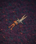 1608606593405.png