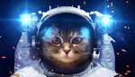 kot-kosmonavt-skafandr.jpg