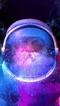 1610698705747.png