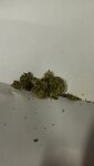 IMG_20210205_171510.jpg
