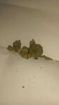 IMG_20210205_171526.jpg