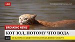 breaking-news-6-600x338.jpg