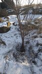 IMG_20210305_210947_338.jpg