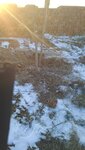 IMG_20210305_210955_526.jpg