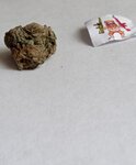 IMG_20210320_173021.jpg
