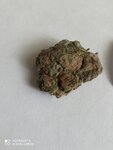 IMG_20210319_120436.jpg
