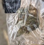 IMG_20210424_125501_139.jpg