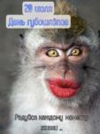 1626817810968.png