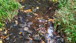 IMG_20191111_152338-01.jpeg