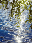 1526121941_030.gif