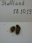 IMG_20191018_104108.jpg