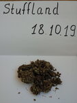 IMG_20191018_103847.jpg