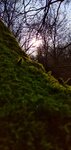 IMG_20191228_135138-01.jpeg
