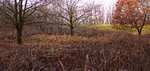 IMG_20191228_135310_1-01.jpeg