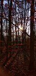 IMG_20191228_134738_1-01.jpeg