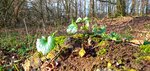 IMG_20191228_134418-01.jpeg