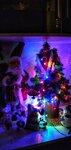 IMG_20191231_054256-01.jpeg