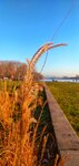 IMG_20200101_153914-01.jpeg
