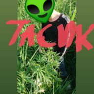 Тасик