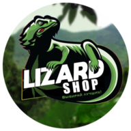 LizardRC