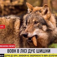 DikeyPes