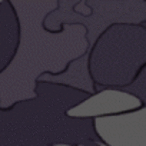 image.gif