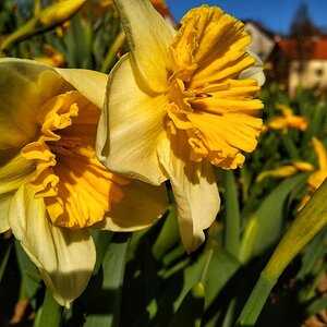 IMG_20191025_035522.jpg