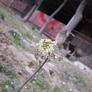 IMG_20191025_035814.jpg