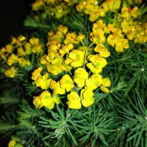 IMG_20191025_035339.jpg