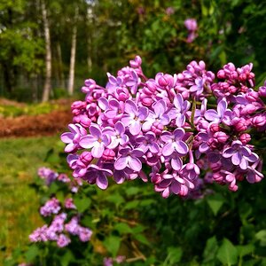 IMG_20191025_035414.jpg