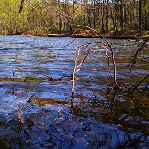 IMG_20191027_121820.jpg
