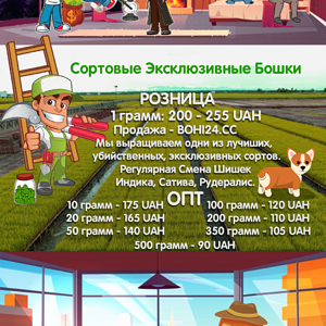 прайс большой семь.png