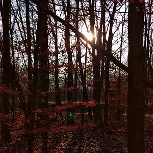 IMG_20191228_134738_1-01.jpeg