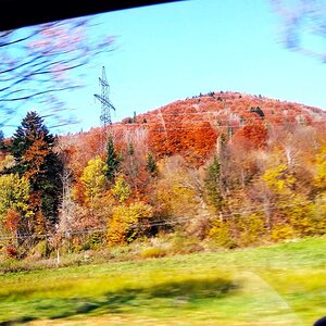 IMG_20200226_220618.jpg