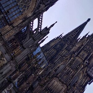 IMG_20200228_122612-01.jpeg